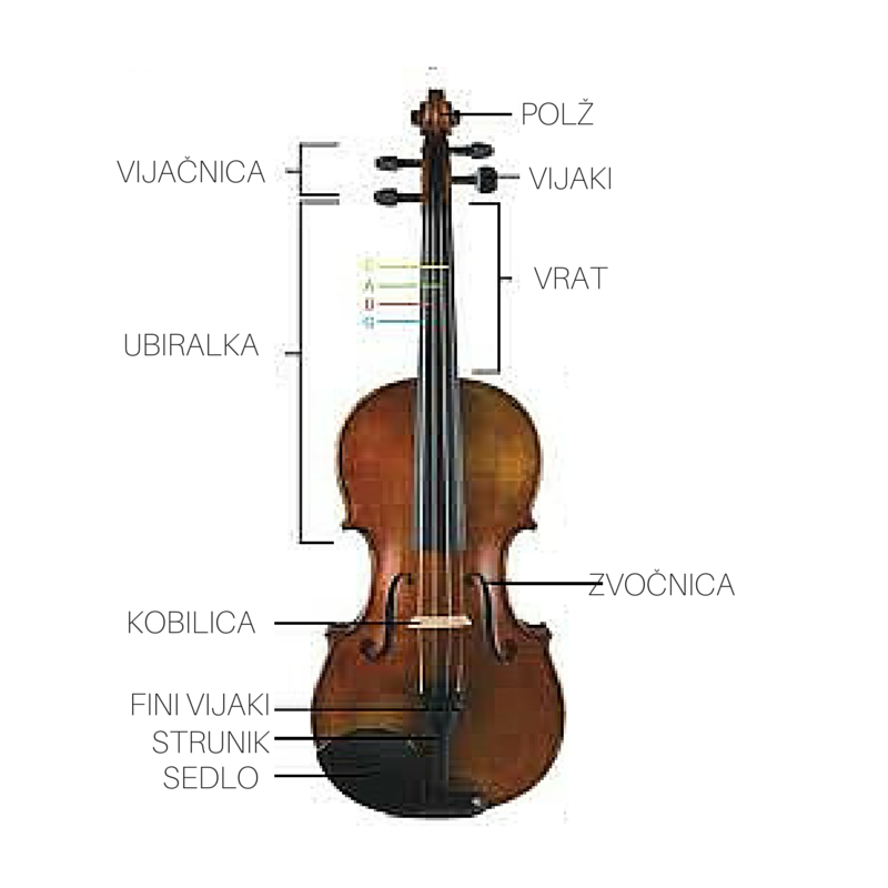 zgradba violine